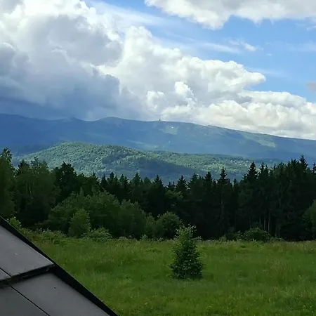 Wilcze Wzgorze 아파트호텔 *
